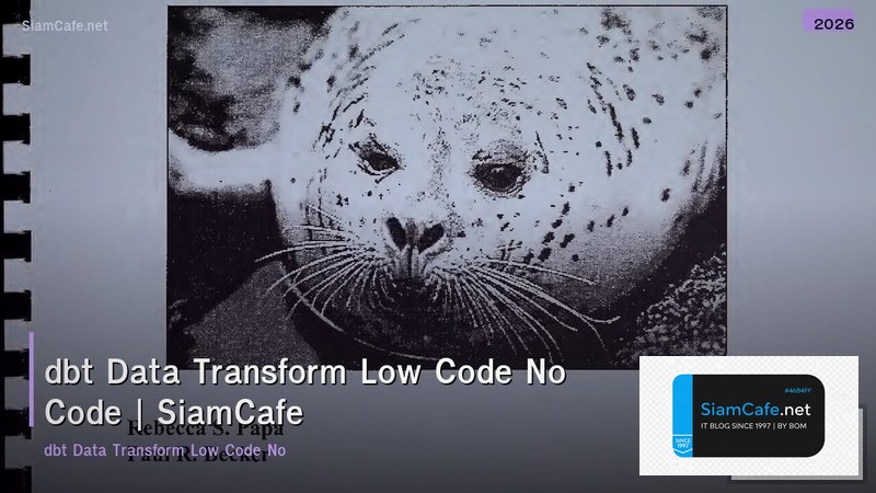 dbt data transform low code no code