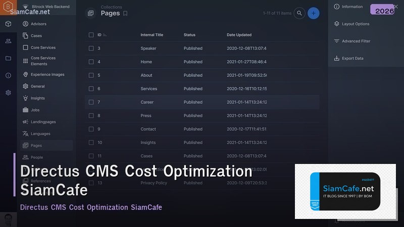 directus cms cost optimization ลดคาใชจาย