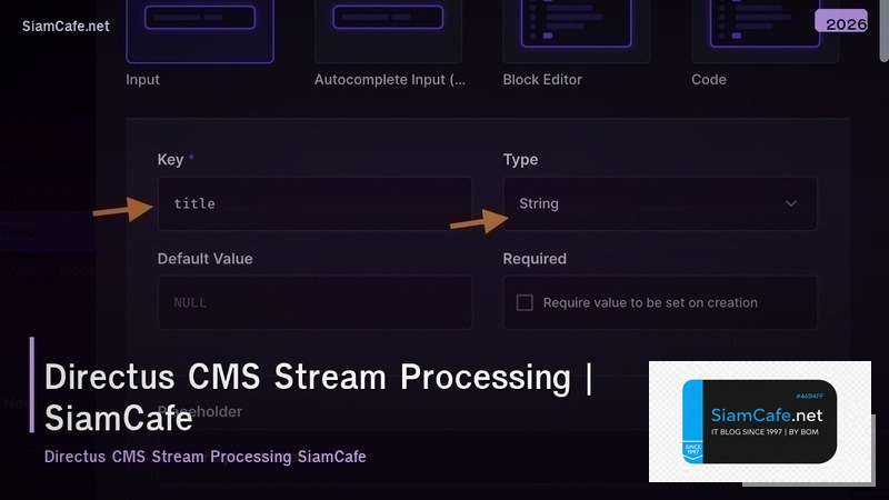 directus cms stream processing
