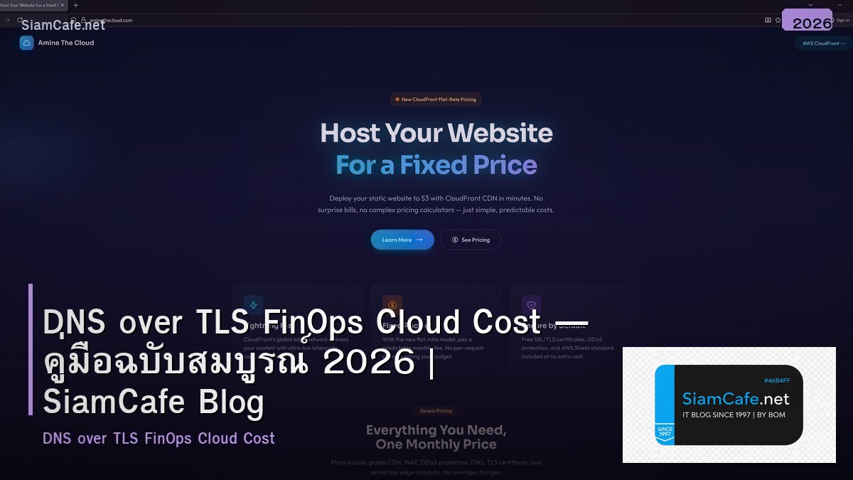 dns over tls finops cloud cost