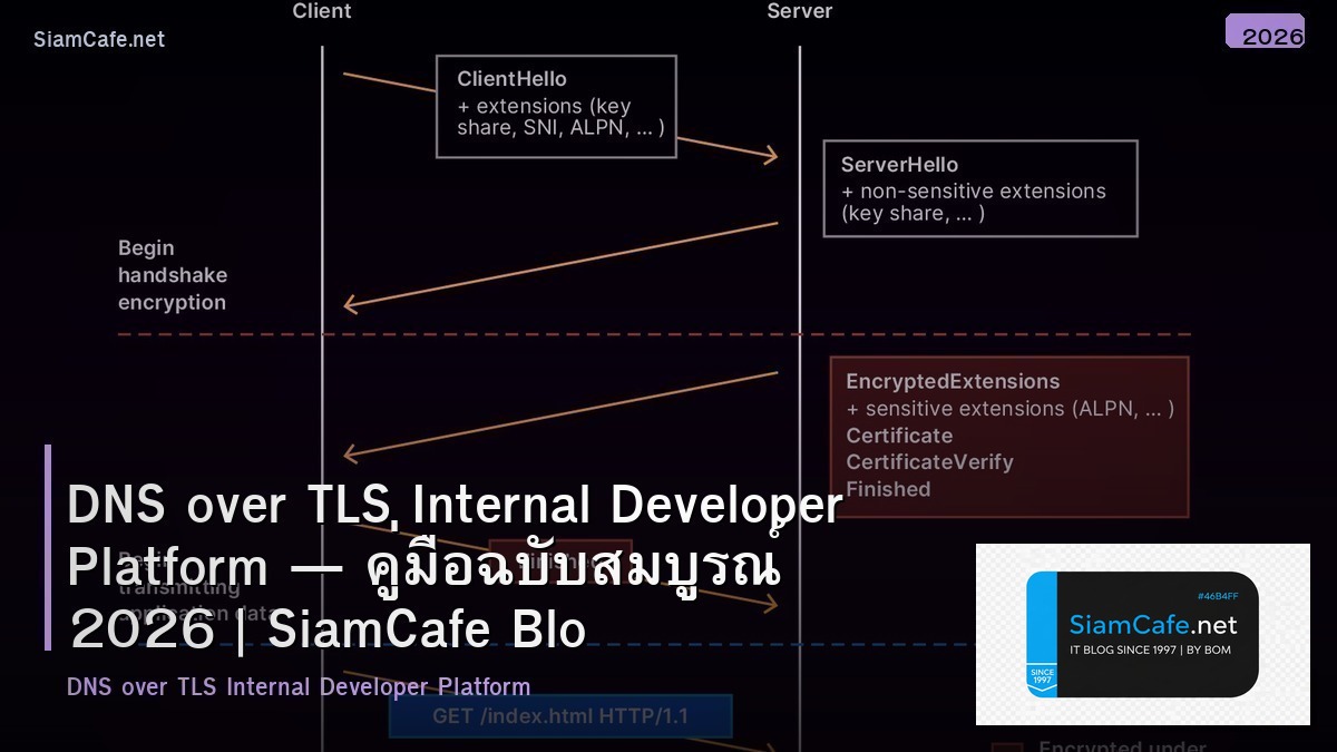 dns over tls internal developer platform