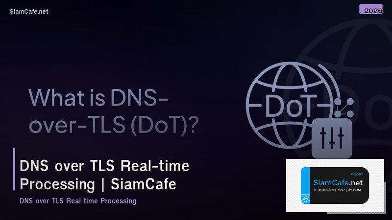 dns over tls real time processing
