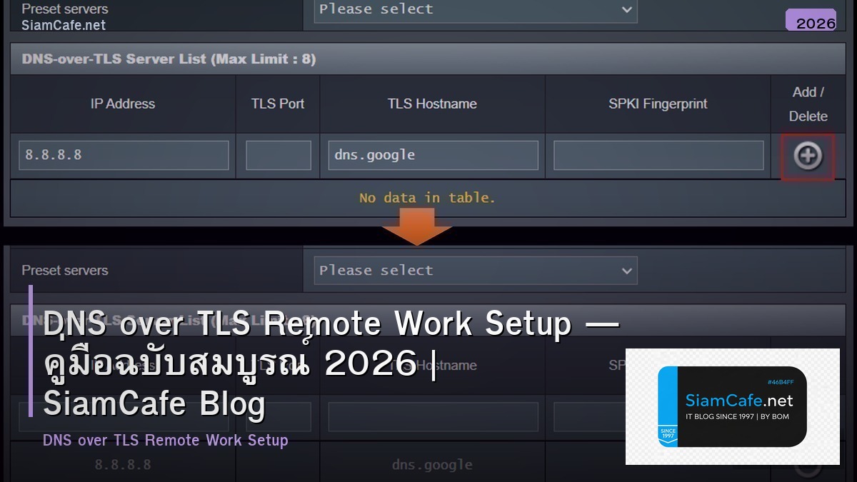 dns over tls remote work setup