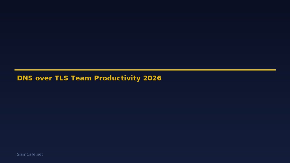 DNS over TLS Team Productivity — คู่มือฉบับสมบูรณ์ 2026