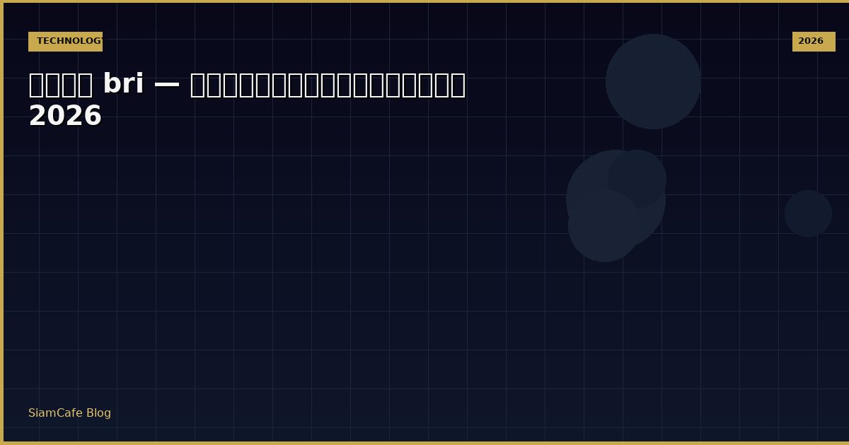 หุ้น bri — คู่มือฉบับสมบูรณ์ 2026