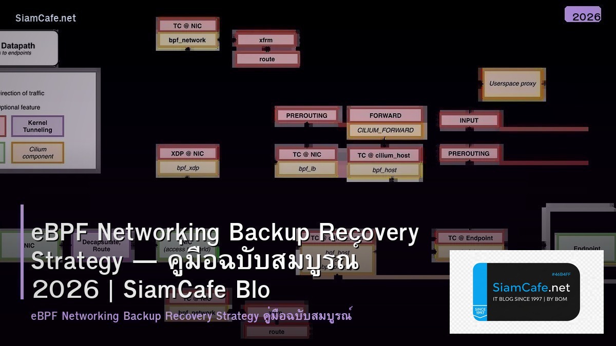 ebpf networking backup recovery strategy
