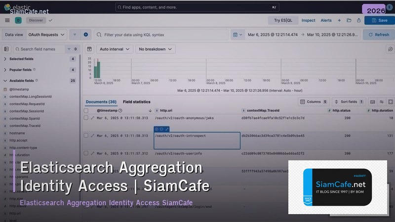 elasticsearch aggregation identity access management