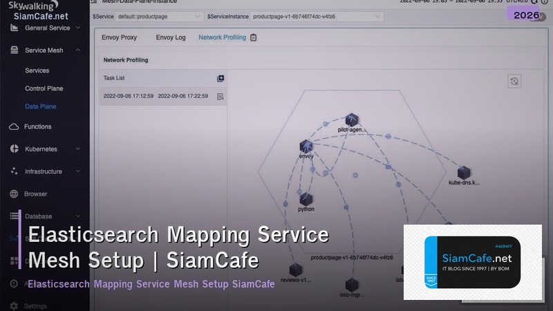 elasticsearch mapping service mesh setup