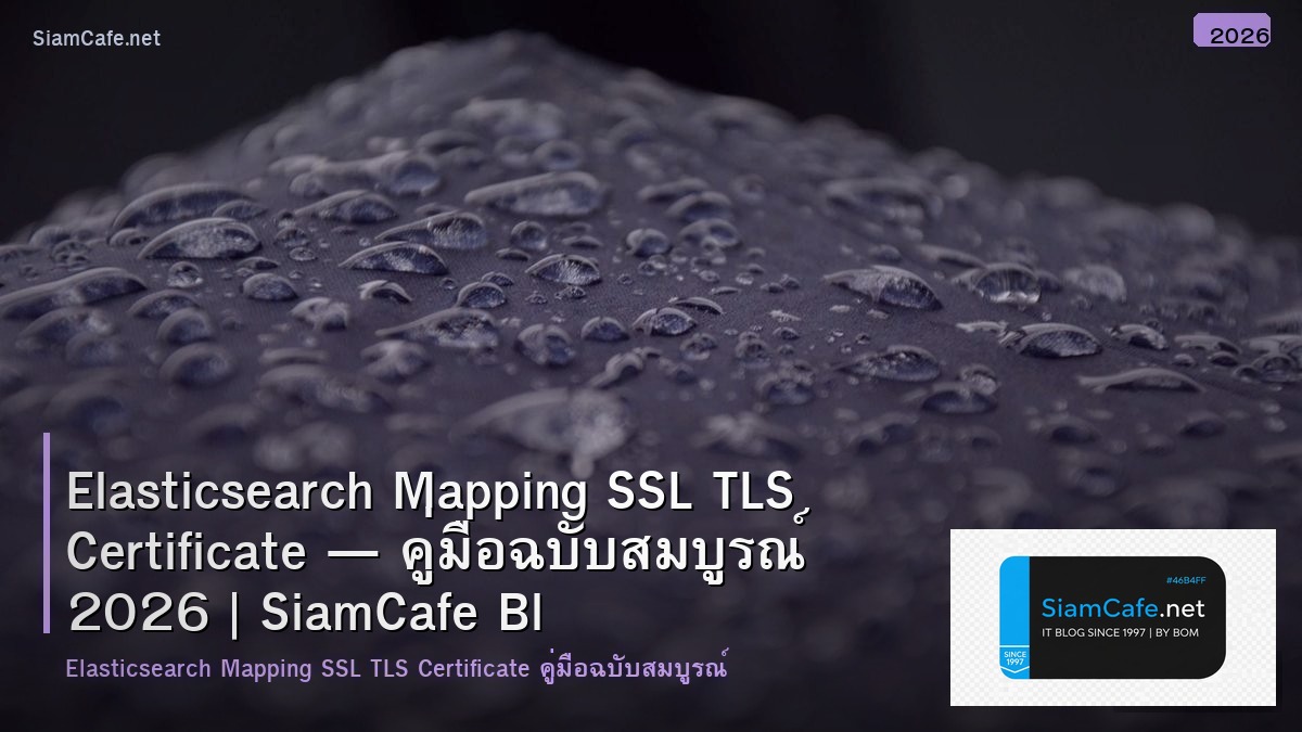 elasticsearch mapping ssl tls certificate