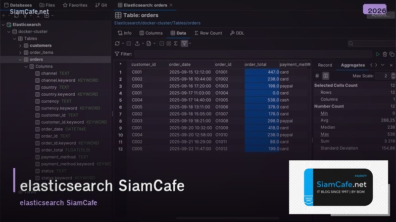 elasticsearch คอ