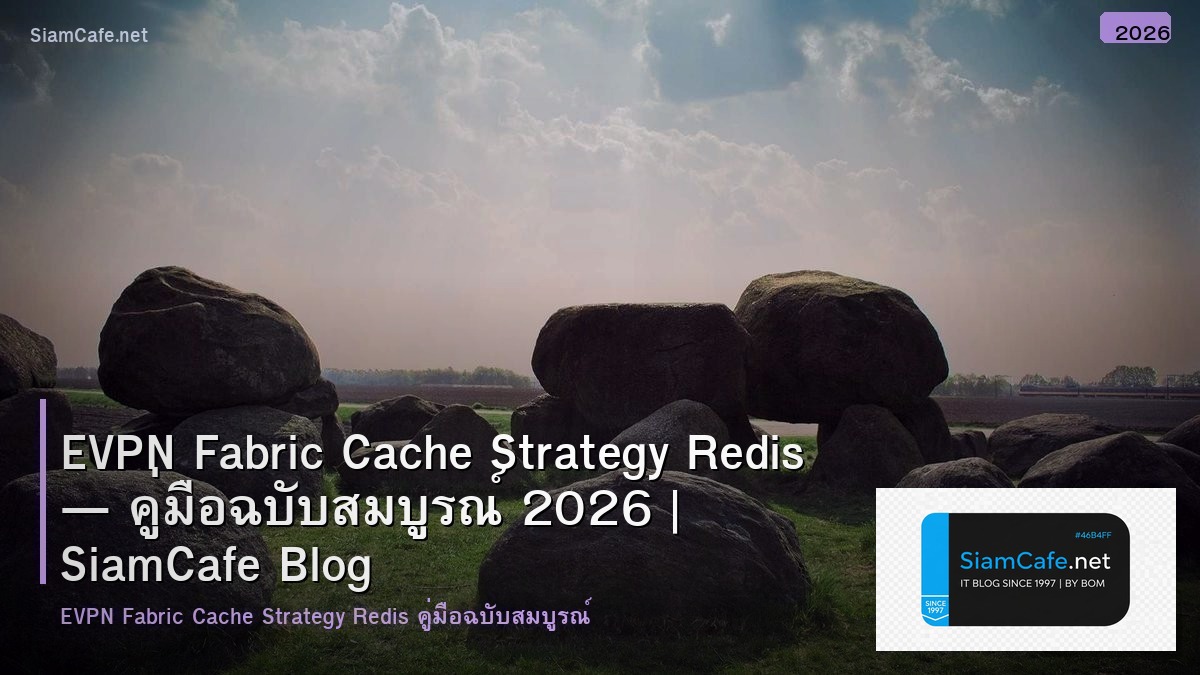 evpn fabric cache strategy redis