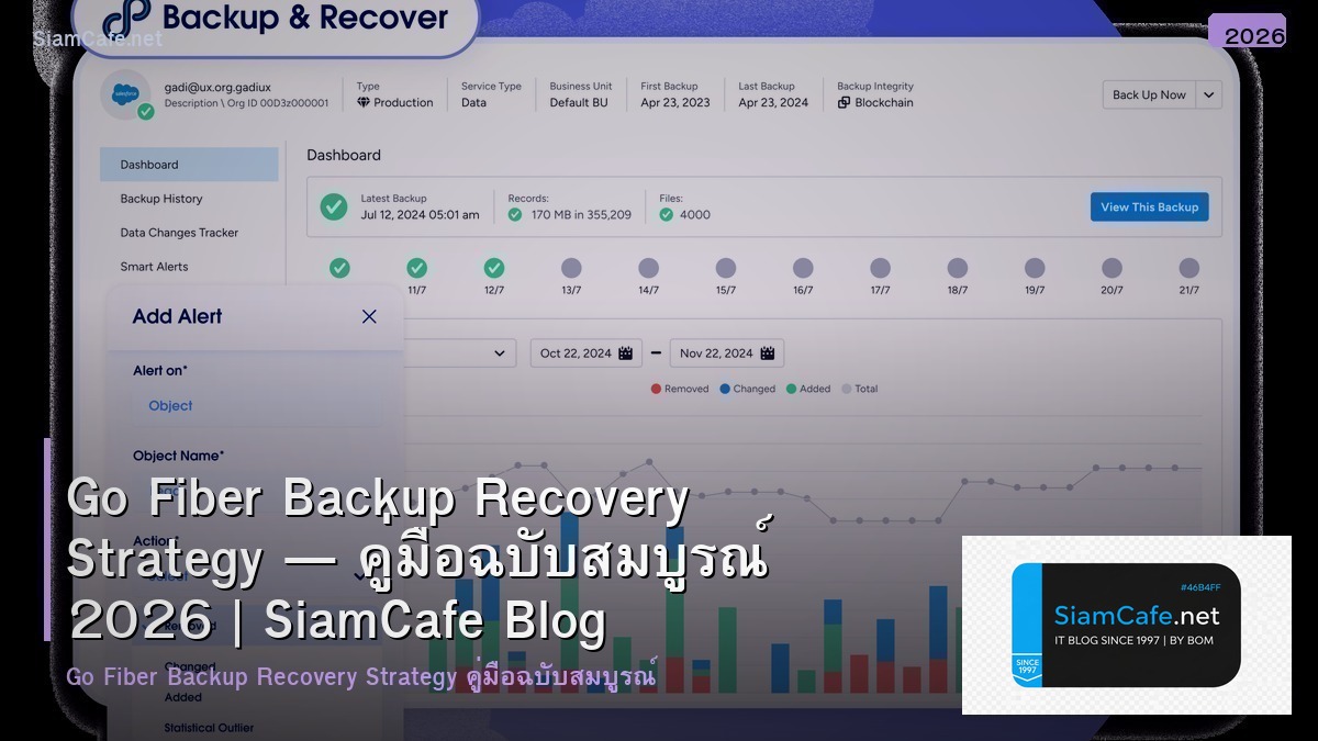 go fiber backup recovery strategy