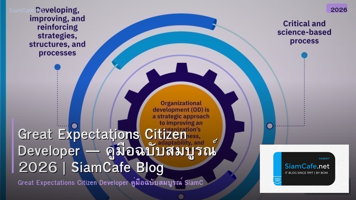 great expectations citizen developer