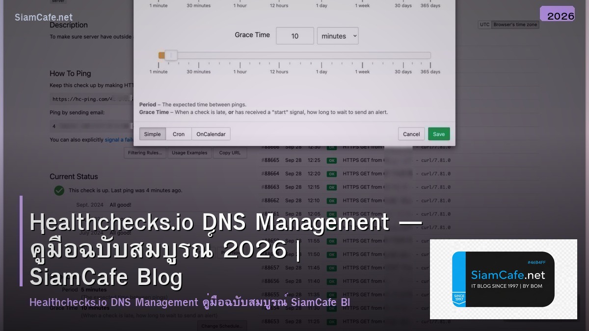 healthchecksio dns management