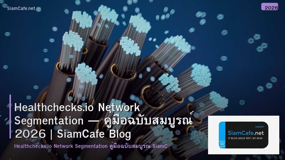 healthchecksio network segmentation