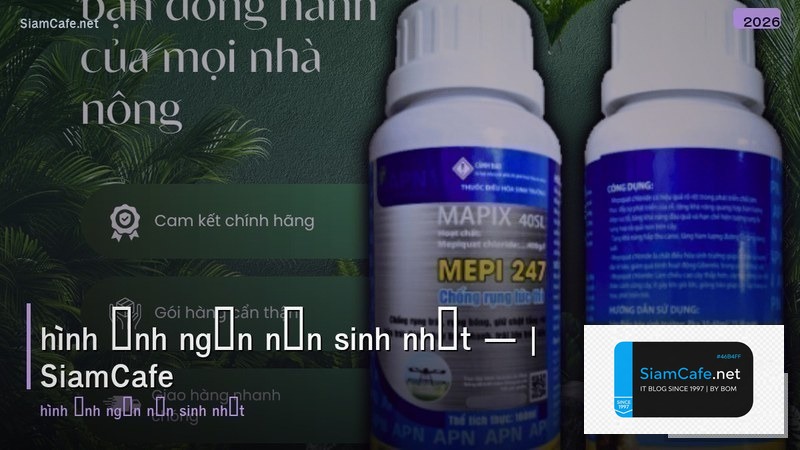 hình ảnh ngọn nến sinh nhật
