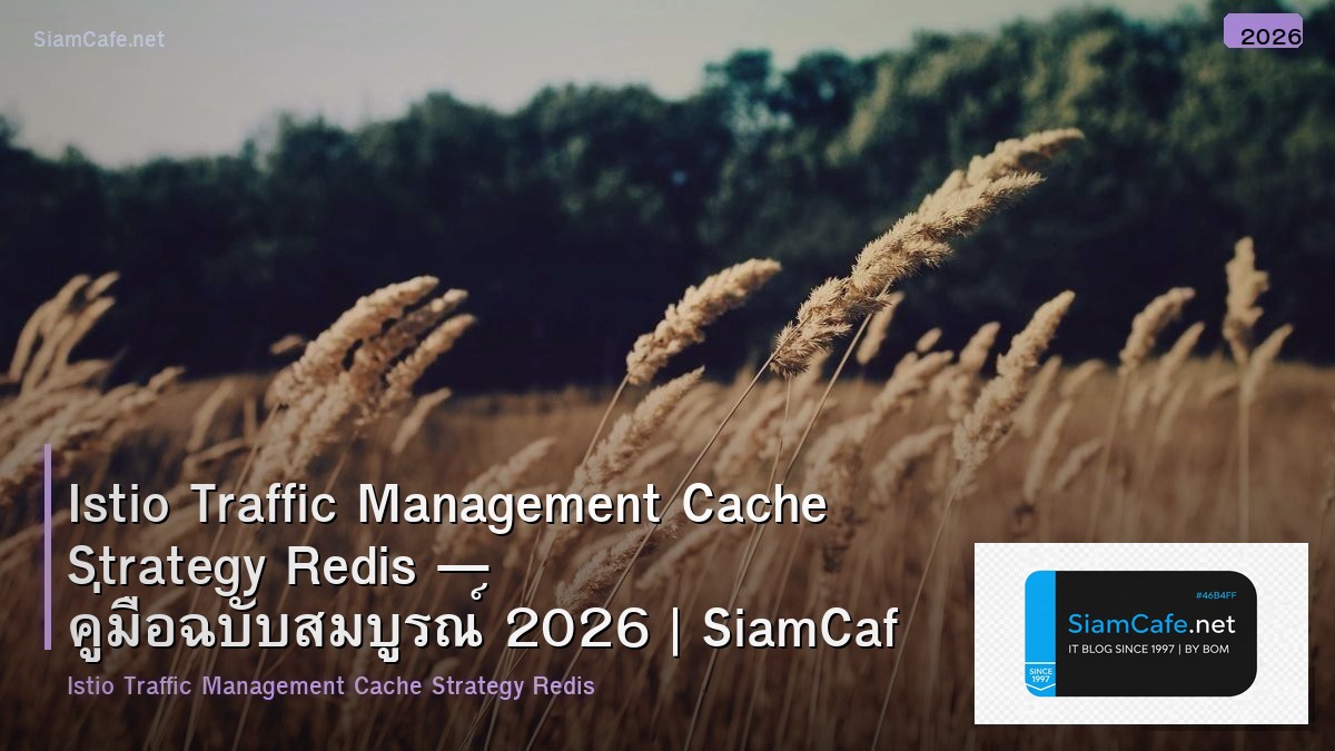 istio traffic management cache strategy redis