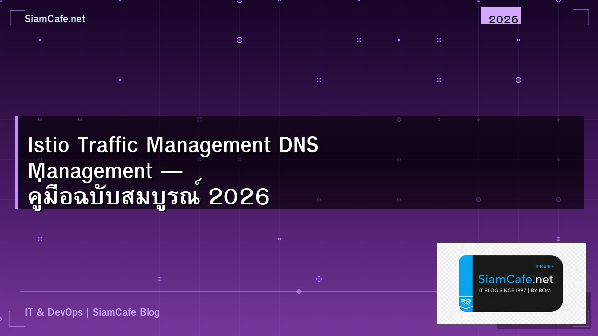 istio traffic management dns management