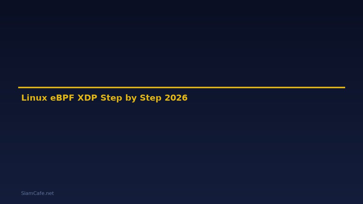 Linux eBPF XDP สำหรับมือใหม่ Step by Step — คู่มือฉบับสมบูรณ์ 2026