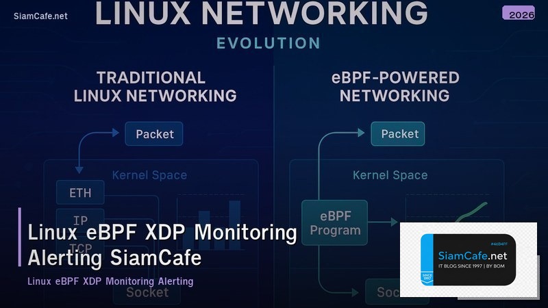 linux ebpf xdp monitoring และ alerting