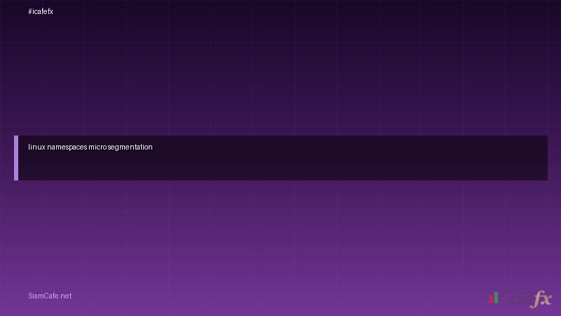 linux namespaces micro segmentation