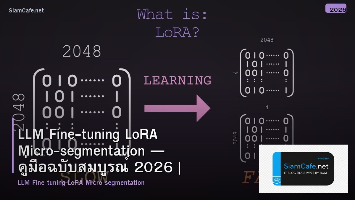 llm fine tuning lora micro segmentation