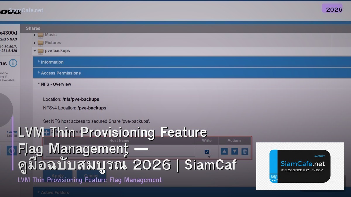 lvm thin provisioning feature flag management