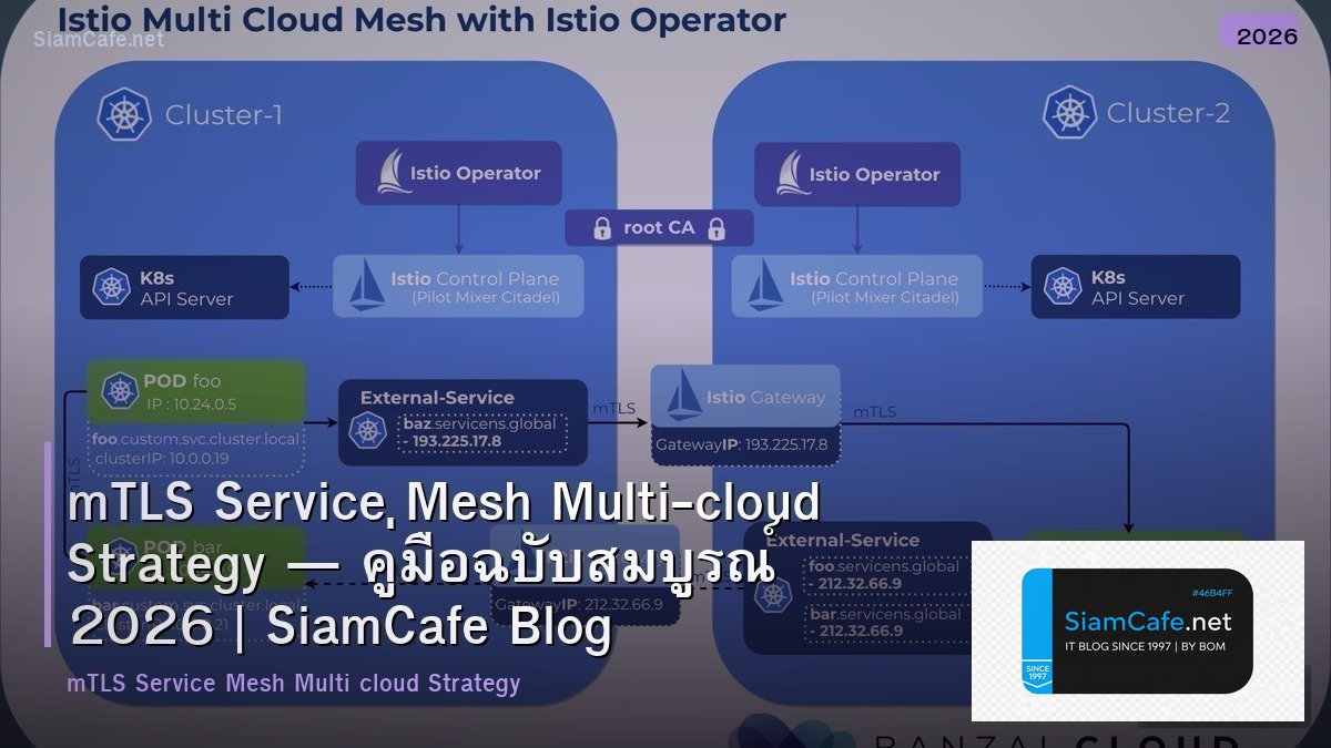 mtls service mesh multi cloud strategy