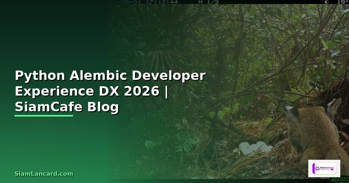 Python Alembic Developer Experience DX