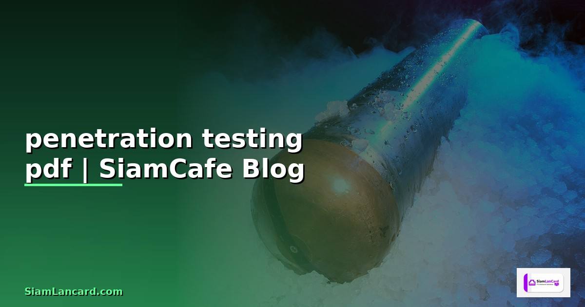 penetration testing pdf