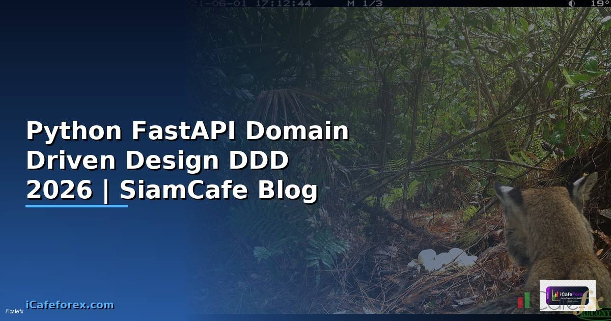 Python FastAPI Domain Driven Design DDD