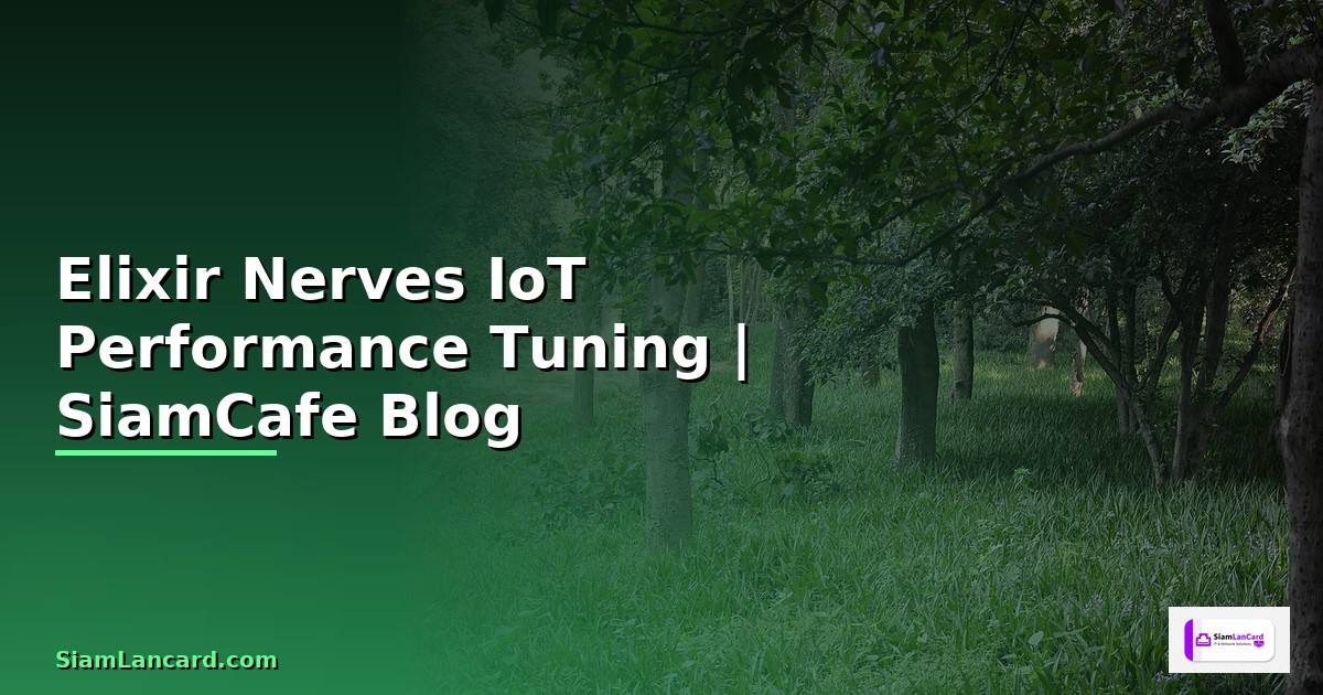 Elixir Nerves IoT Performance Tuning