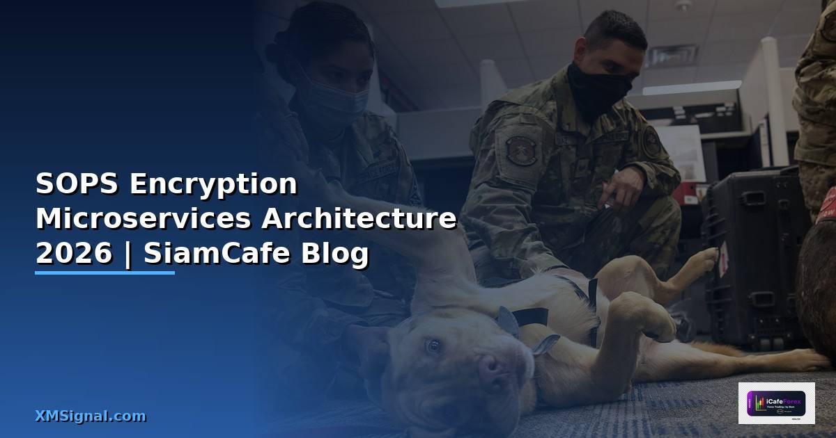 SOPS Encryption Microservices Architecture