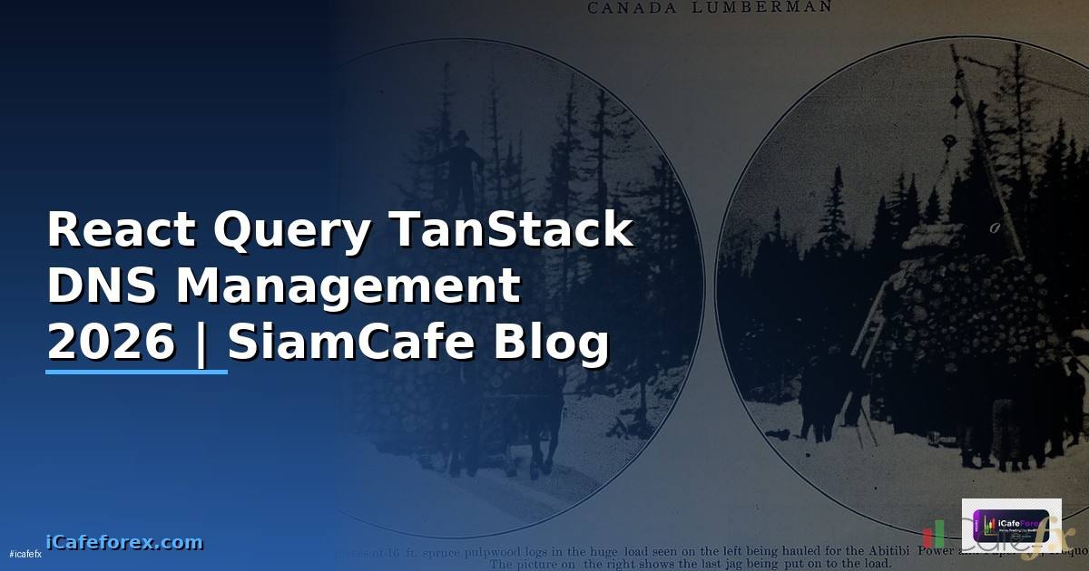React Query TanStack DNS Management