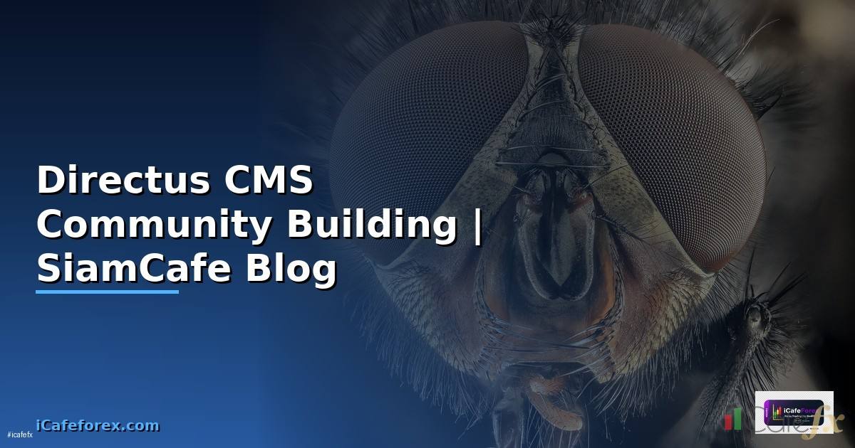 Directus CMS Community Building