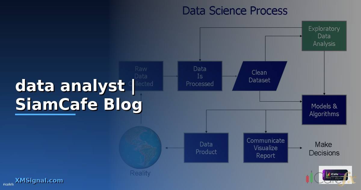 งาน data analyst — ข้อมูลครบถ้วน 2026