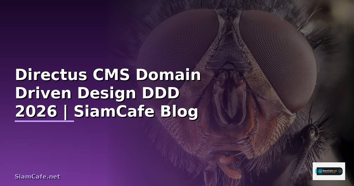 Directus CMS Domain Driven Design DDD