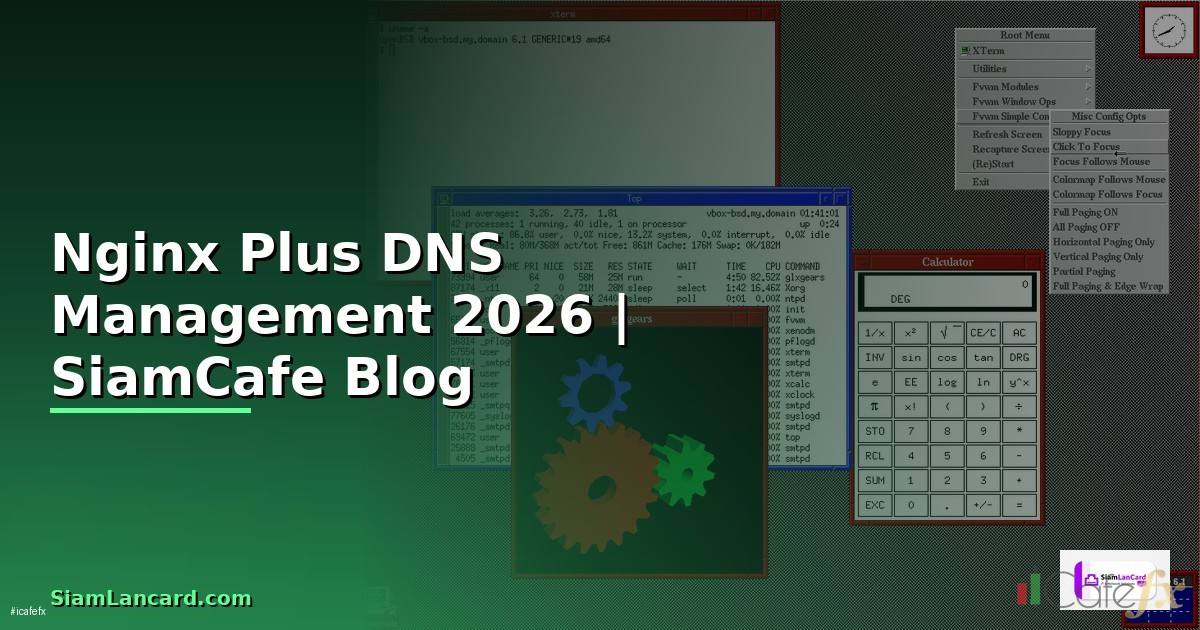Nginx Plus DNS Management