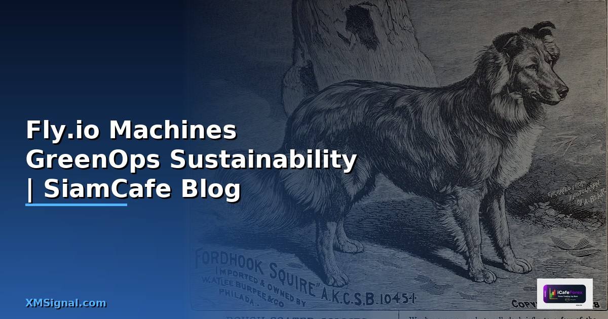 Fly.io Machines GreenOps Sustainability