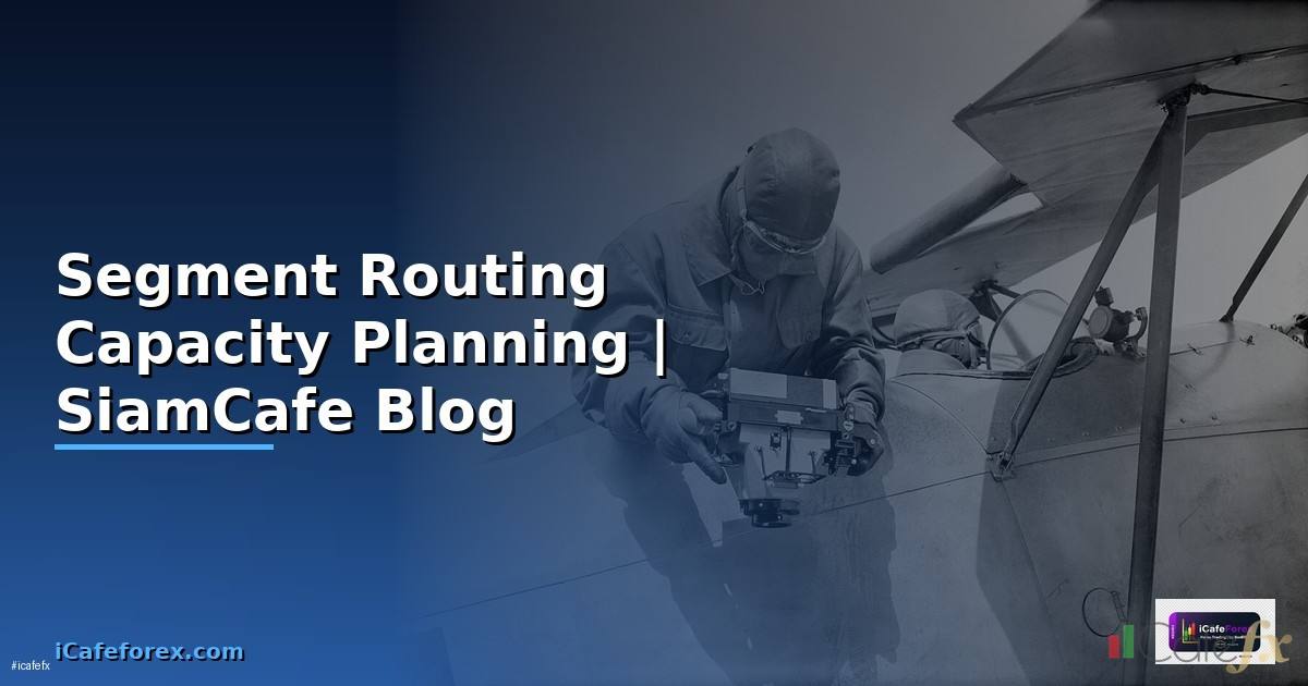 Segment Routing Capacity Planning