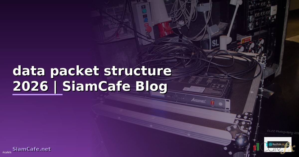 data packet structure