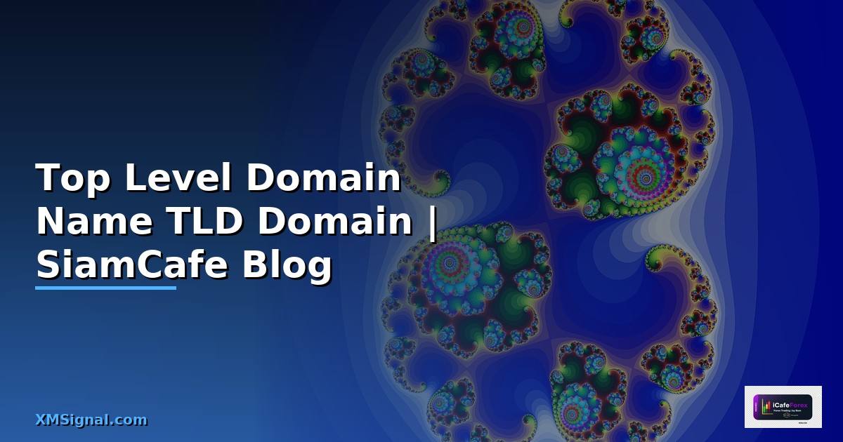 Top Level Domain Name คือ  ทุกอย่างเกี่ยวกับ TLD และ Domain