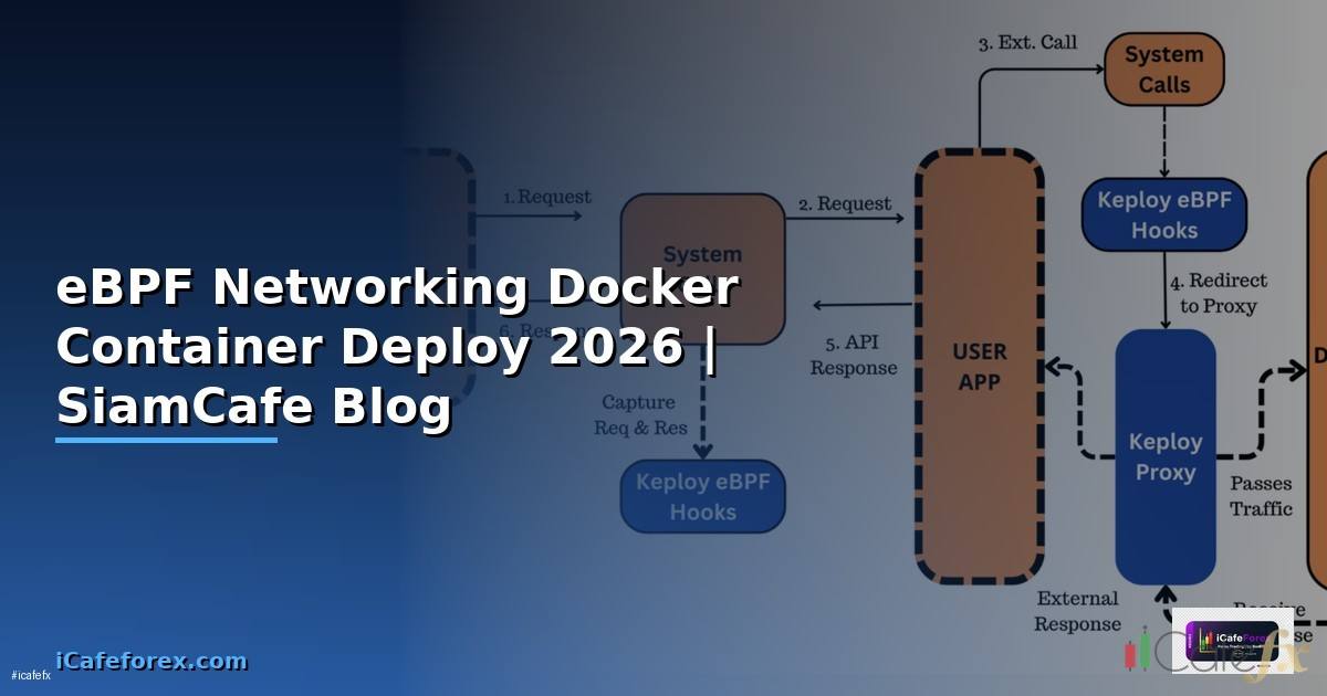 eBPF Networking Docker Container Deploy