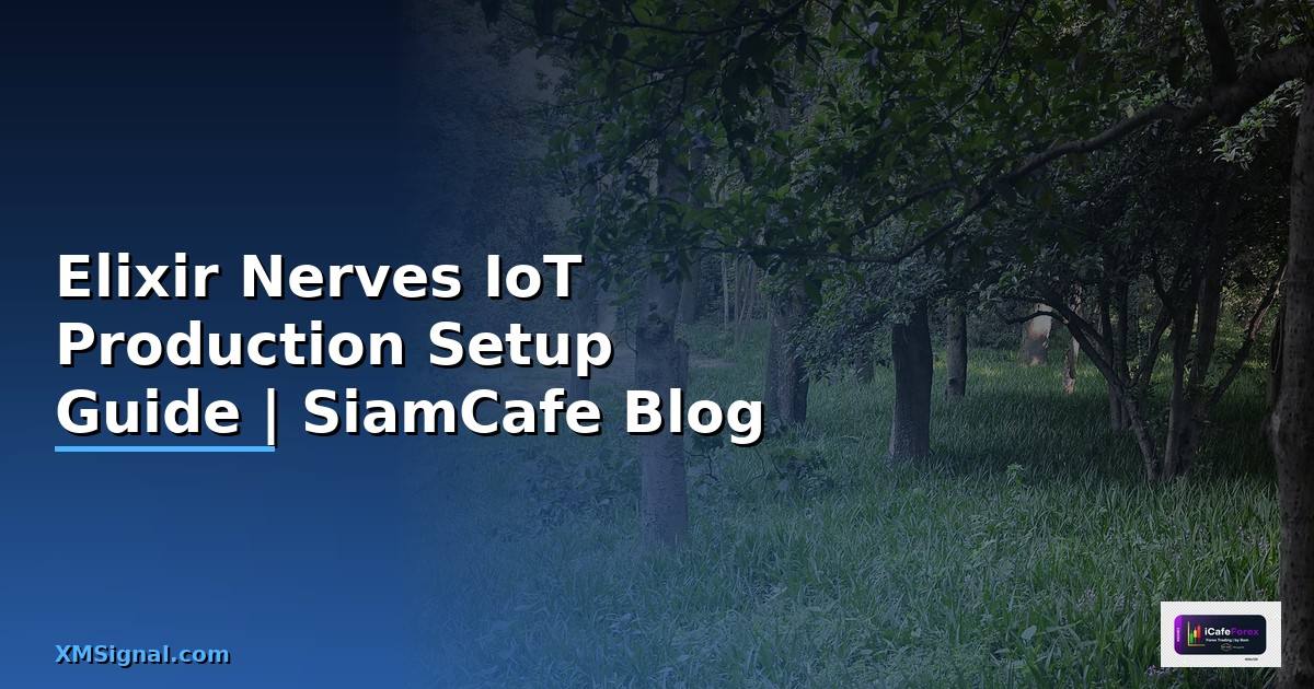 Elixir Nerves IoT Production Setup Guide