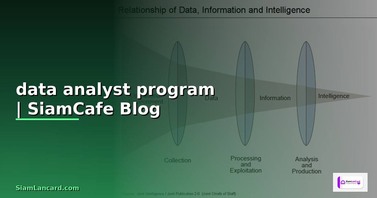 data analyst program