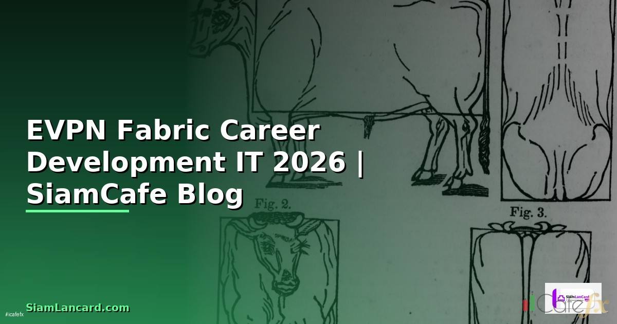 EVPN Fabric Career Development IT — คู่มือฉบับสมบูรณ์ 2026