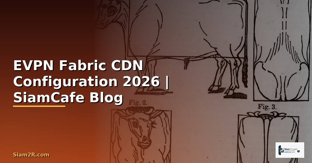 EVPN Fabric CDN Configuration