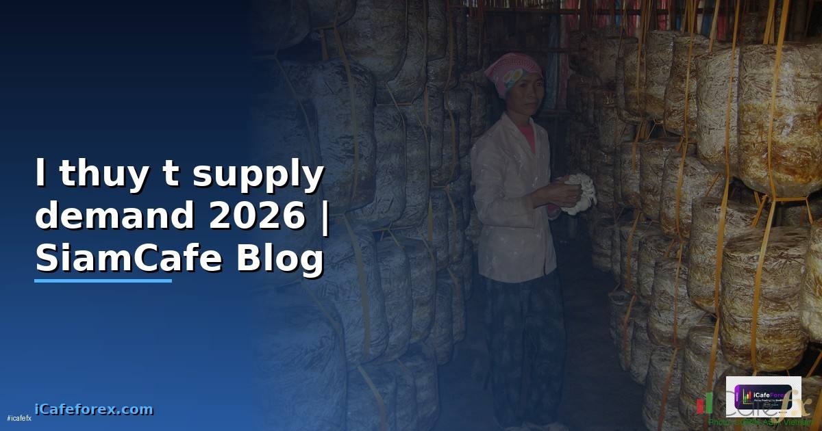 lý thuyết supply demand
