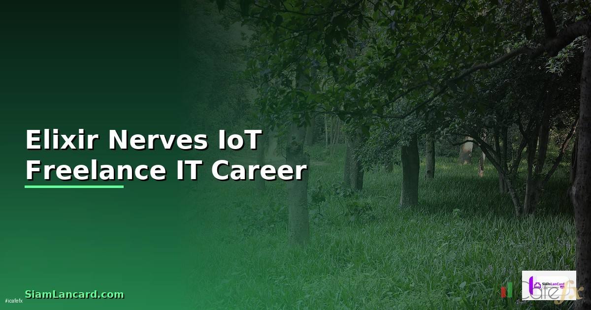 Elixir Nerves IoT Freelance IT Career —
