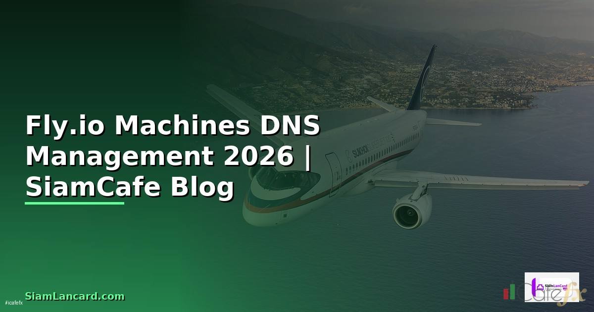 Fly.io Machines DNS Management